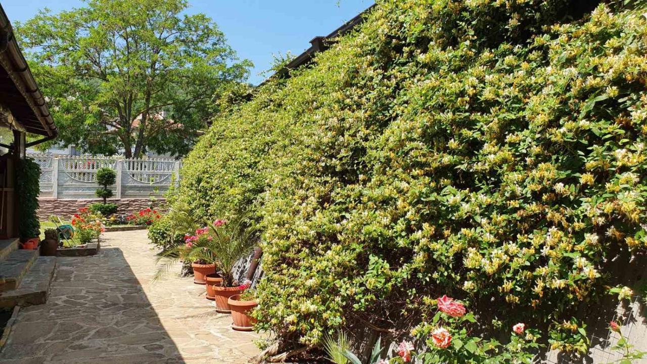 Marianas Guesthouse 오브조르 외부 사진